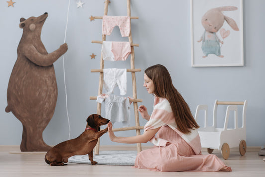 Creating a Clean and Cozy Haven for Your Furry Friends: A Guide for Pet Parents