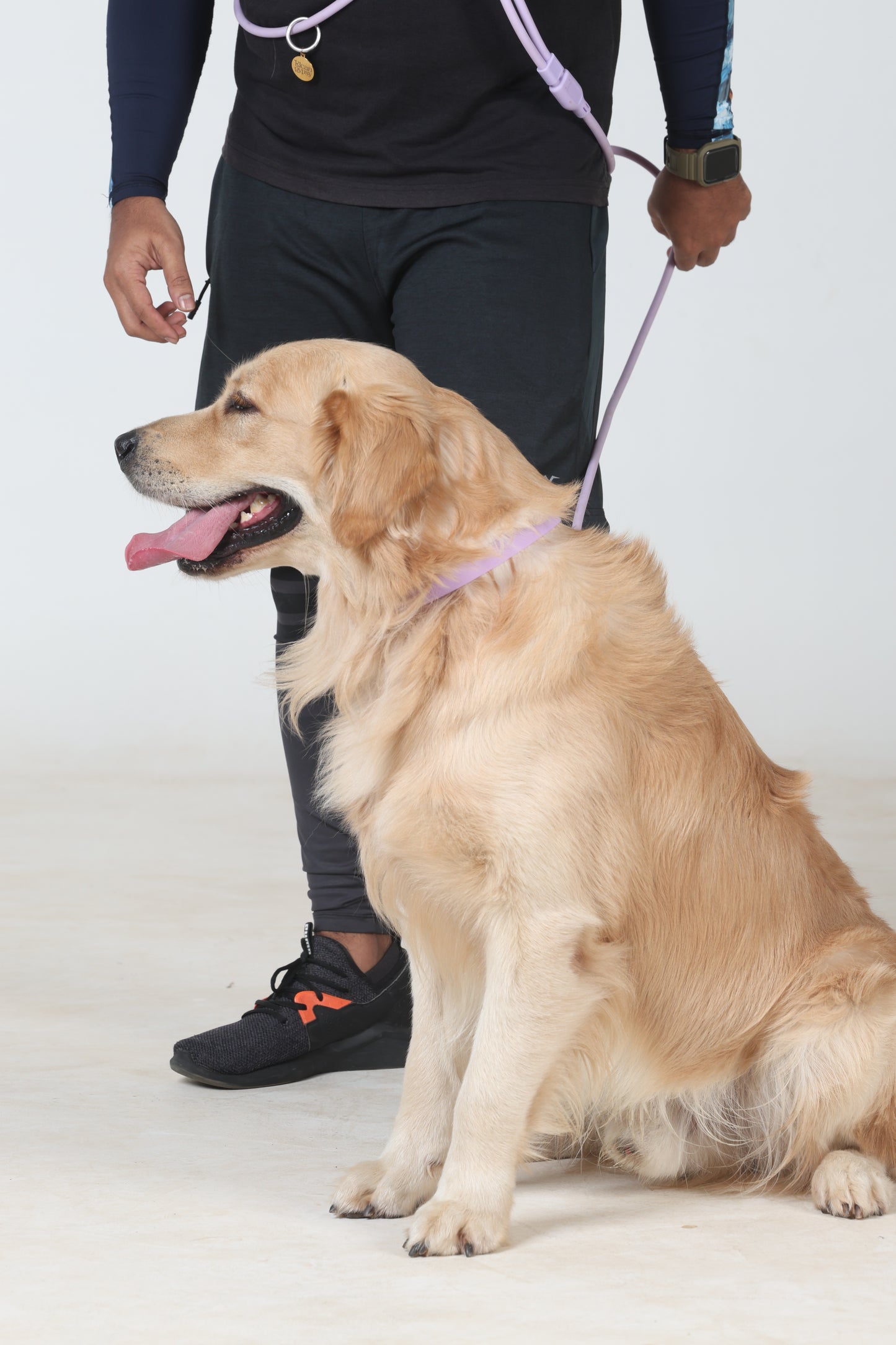 Klean Gypsy Adjustable Dog Collar - Purple Plush