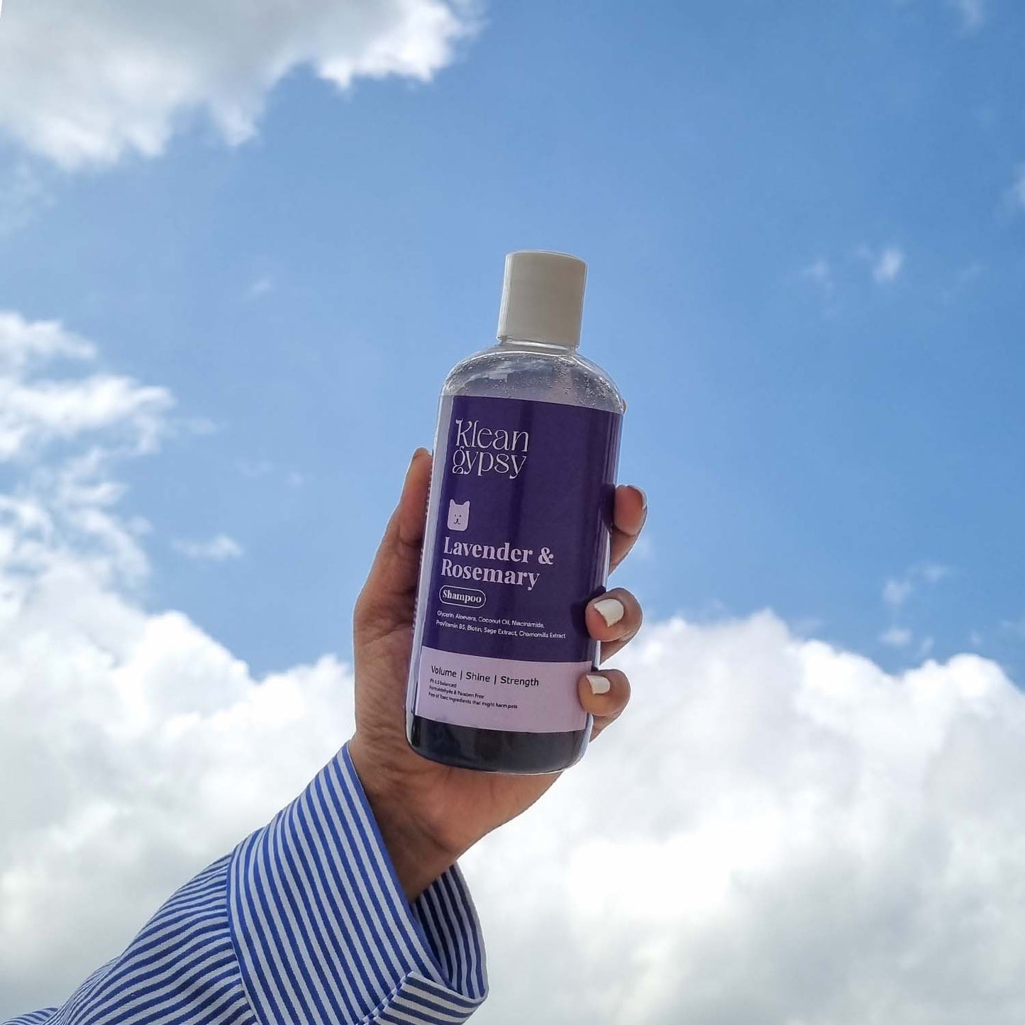 Neem & Citronella Shampoo + Lavender & Rosemary Shampoo + Coconut & Shea Butter Conditioner Combo Pack 300 ml each
