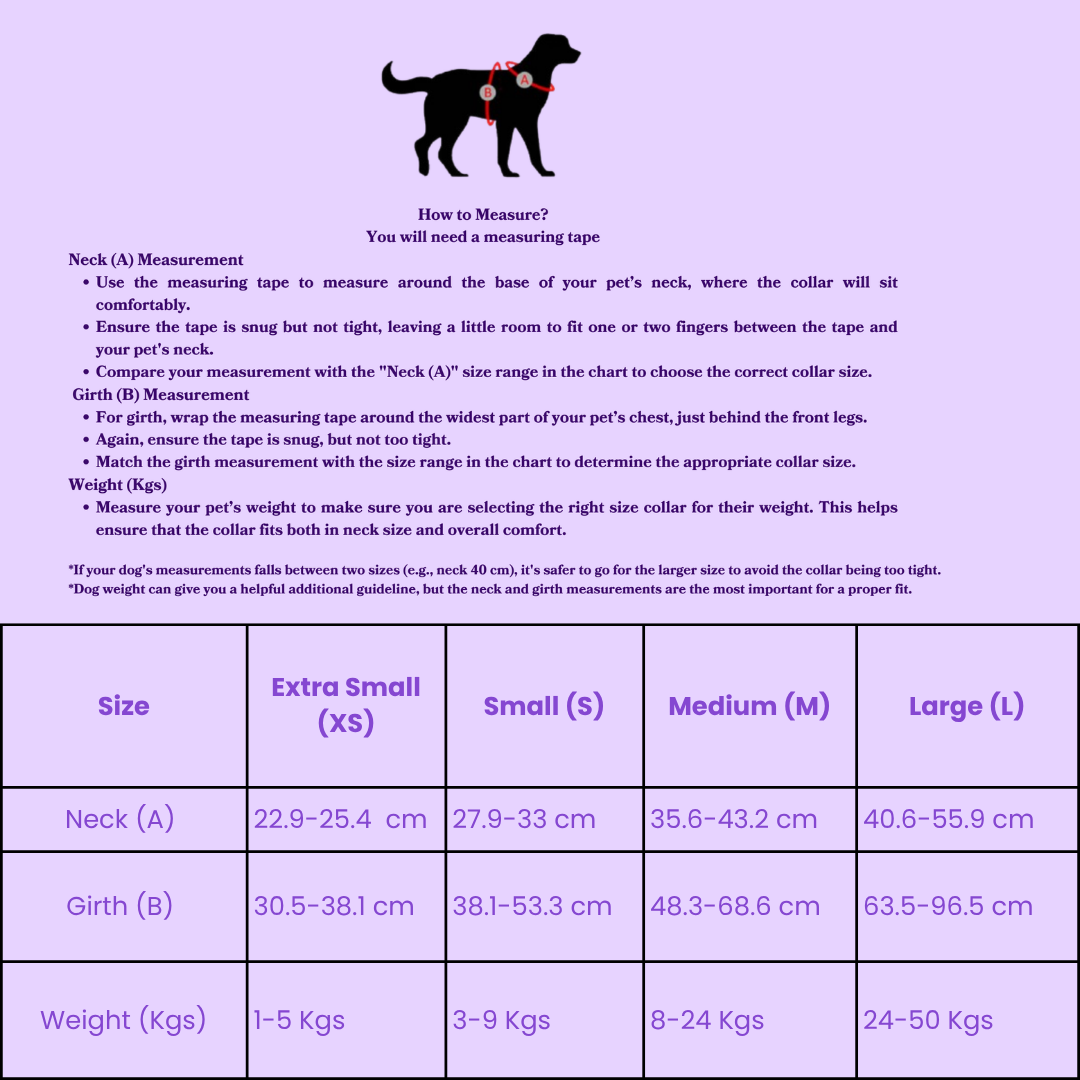 The Wander Vest: The Jewel Edit | Premium No-Pull Dog Harness – Oh! Olive