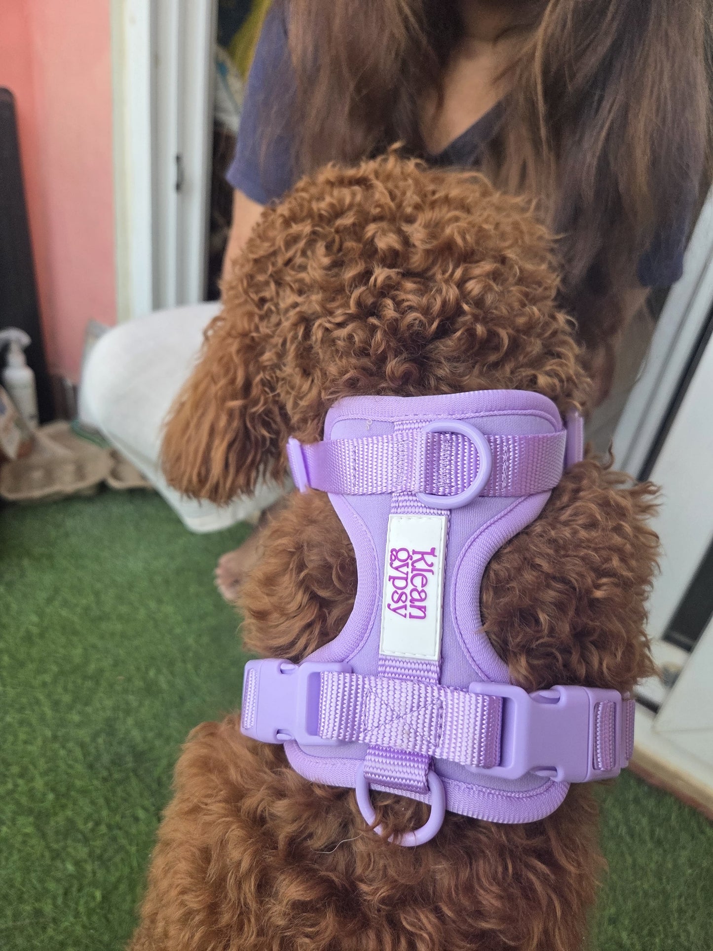 The Wander Vest - Purple Plush