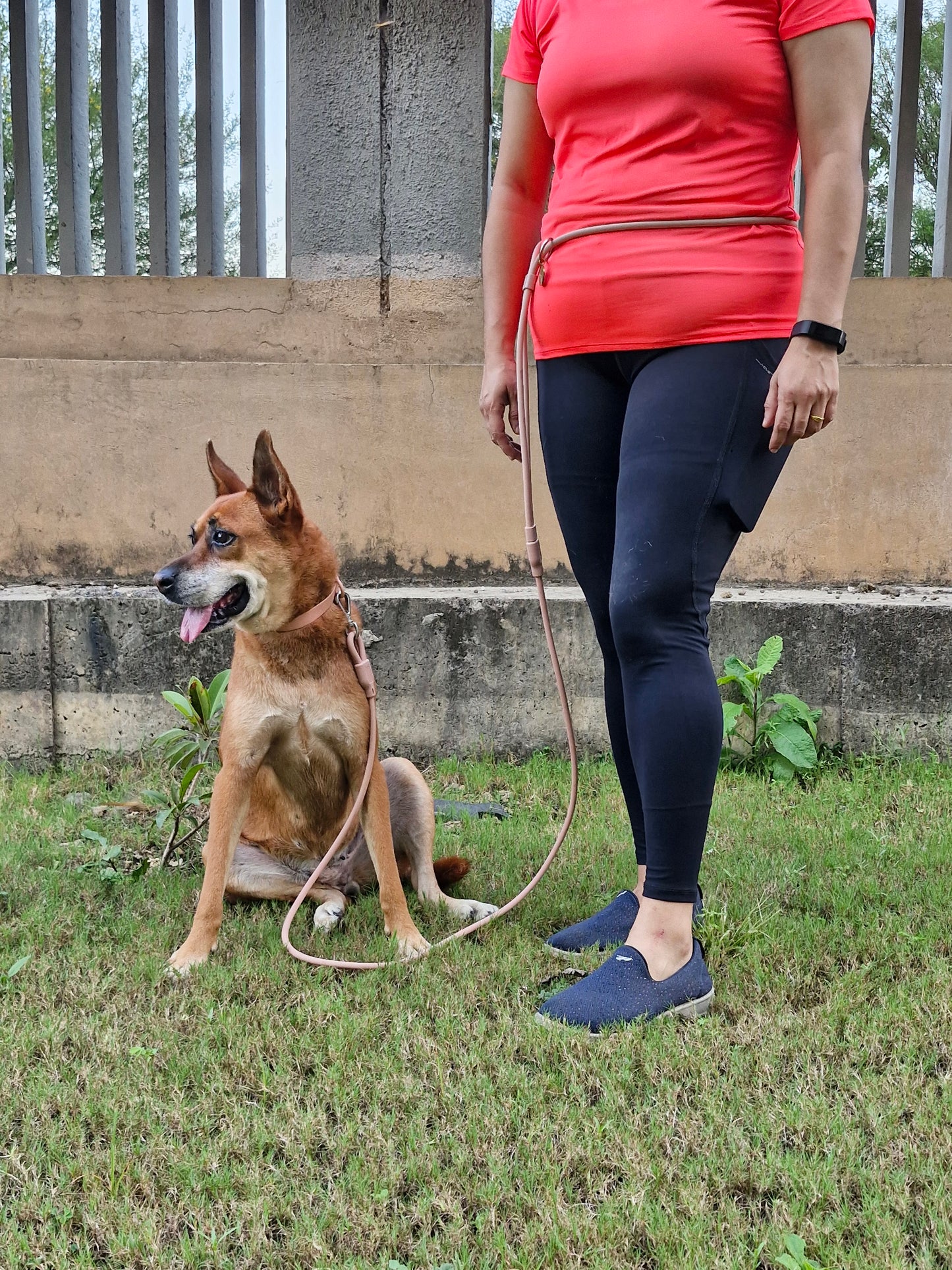 Klean Gypsy Combo of PINK 8-in-1 Hands-Free Dog Leash - Stylish, Durable & Waterproof & Adjustable Vegan Leather Dog Collar
