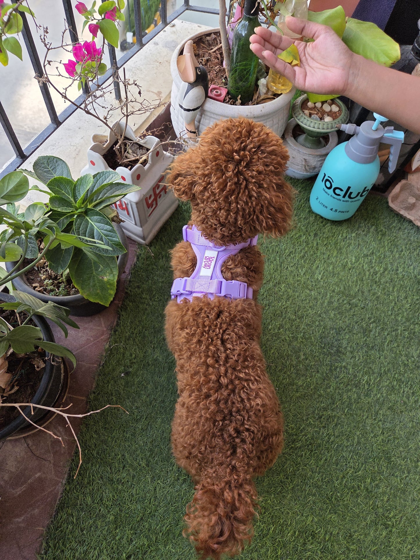 The Wander Vest - Purple Plush