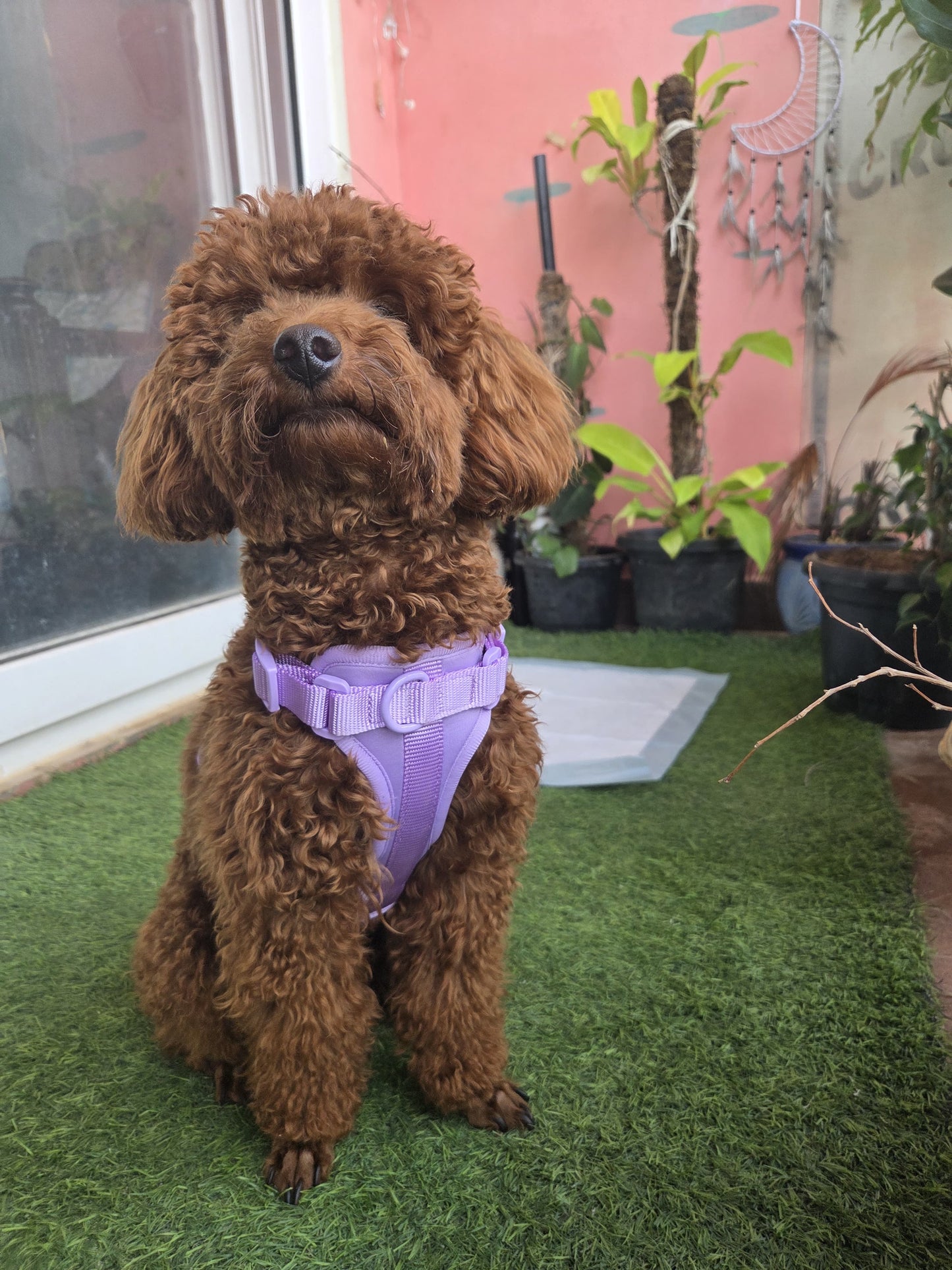 The Wander Vest - Purple Plush