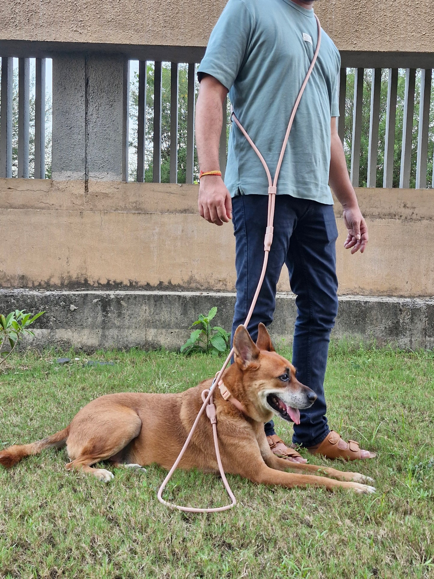 Klean Gypsy Combo of PINK 8-in-1 Hands-Free Dog Leash - Stylish, Durable & Waterproof & Adjustable Vegan Leather Dog Collar