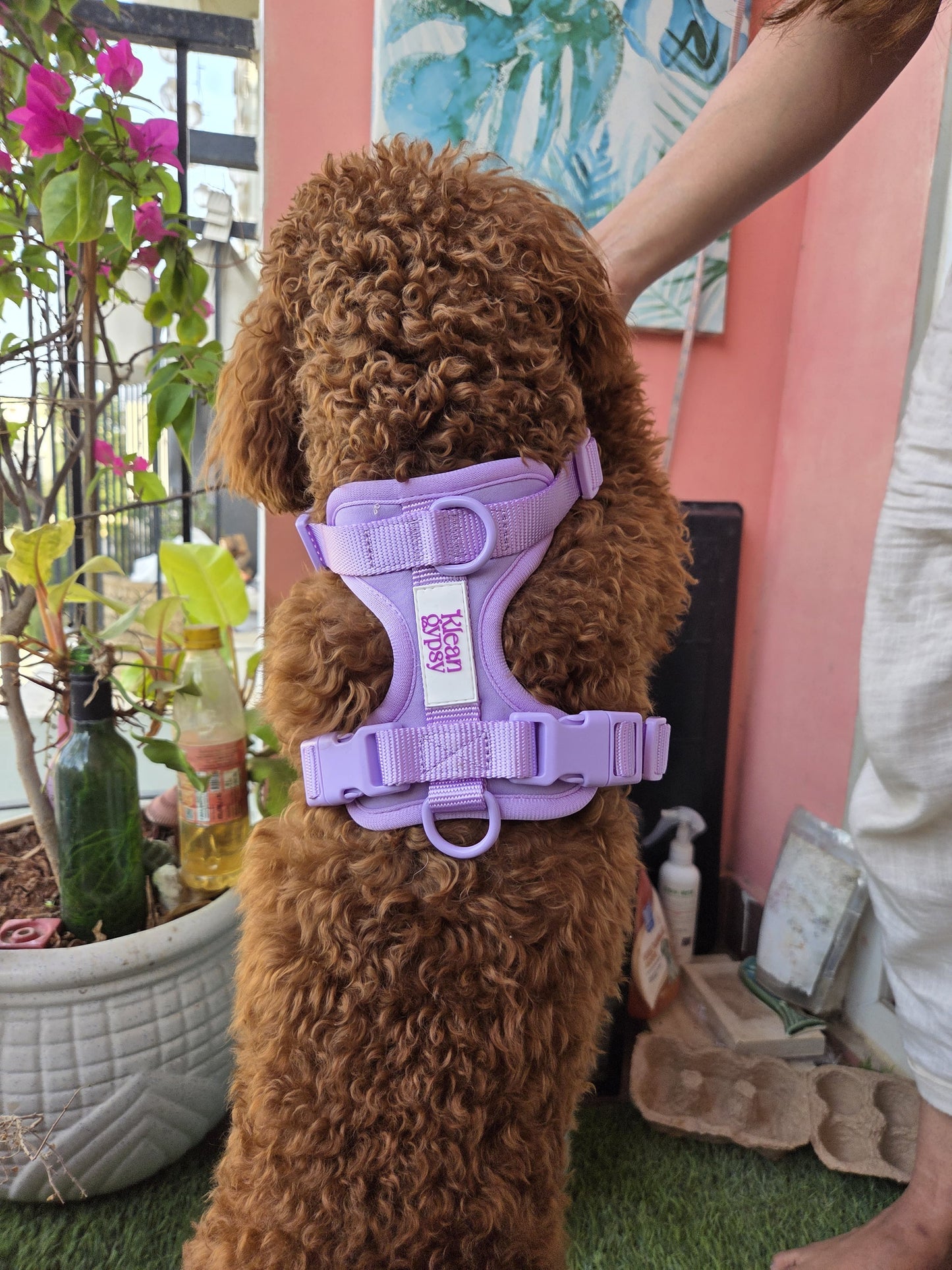 The Wander Vest - Purple Plush