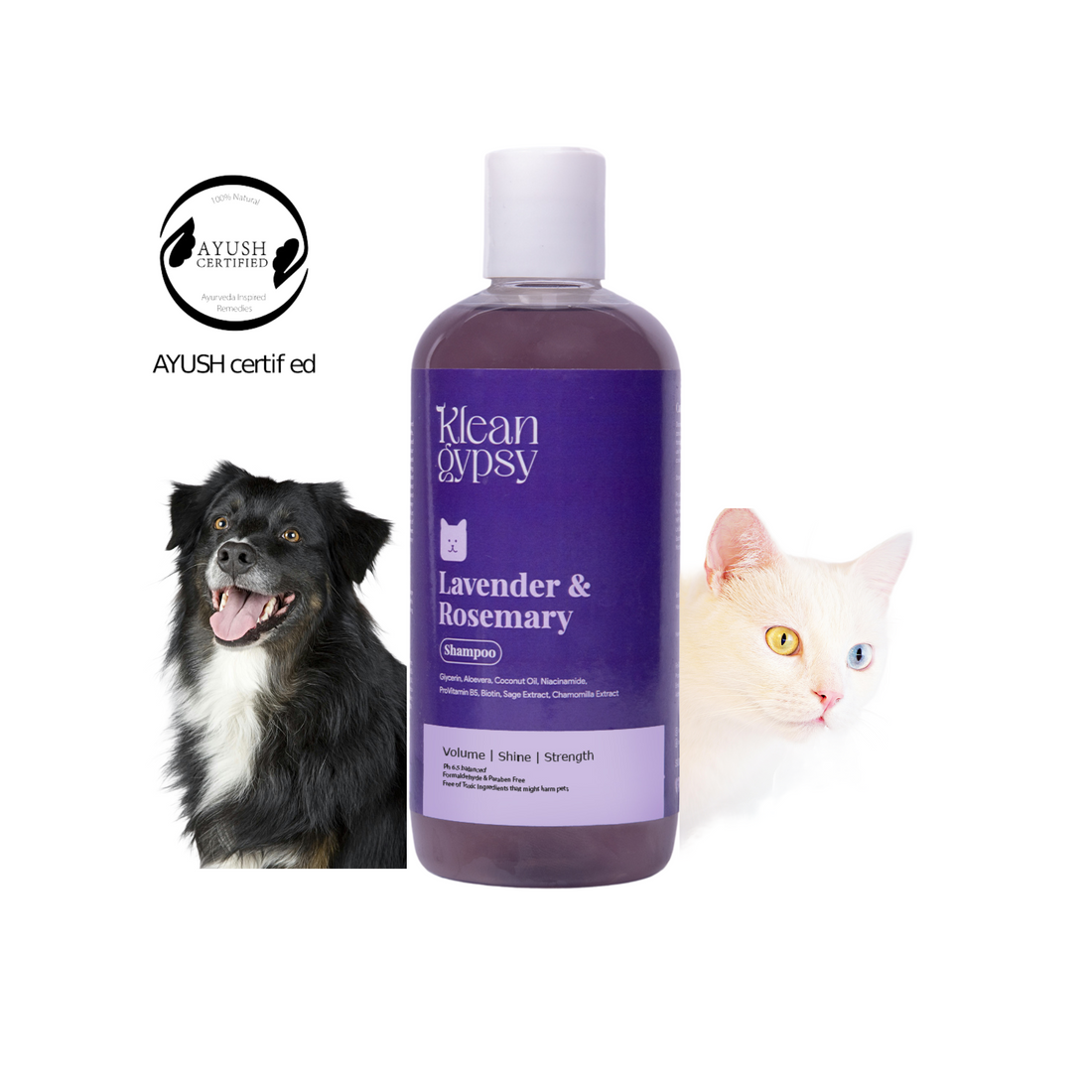 Best Dog Shampoo in India for Sensitive Skin | Natural & Gentle