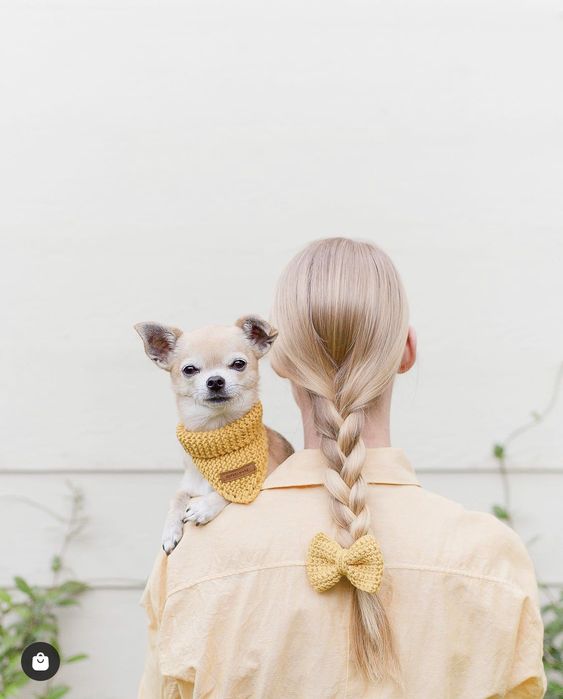 5 Vogue-Worthy Fashion Tips for the Most Stylish Pet