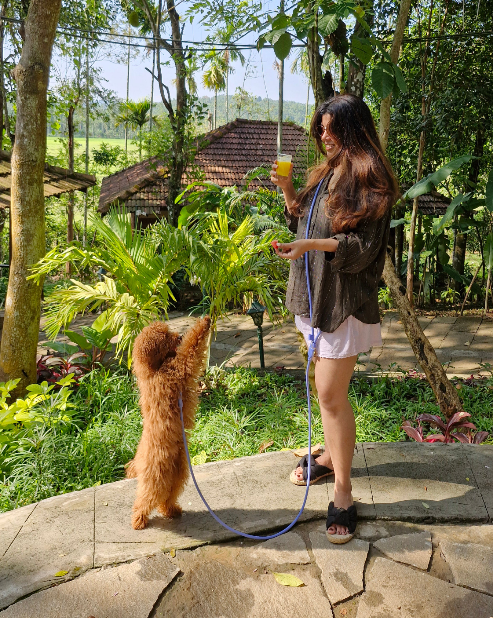 Klean Gypsy 8-in-1 Hands-Free Dog Leash - Stylish, Durable & Waterproof - Blue Bliss