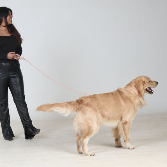 Klean Gypsy HandEase Leash - Peach Perfect