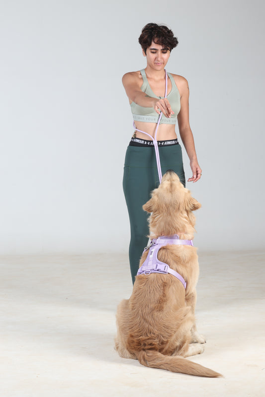 Klean Gypsy 8-in-1 Multipurpose Hands-Free Dog Leash - Stylish, Durable & Waterproof - Purple Plush