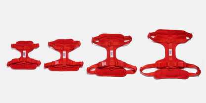 The Wander Vest: The Jewel Edit | Premium No-Pull Dog Harness – Run, Ruby, Run