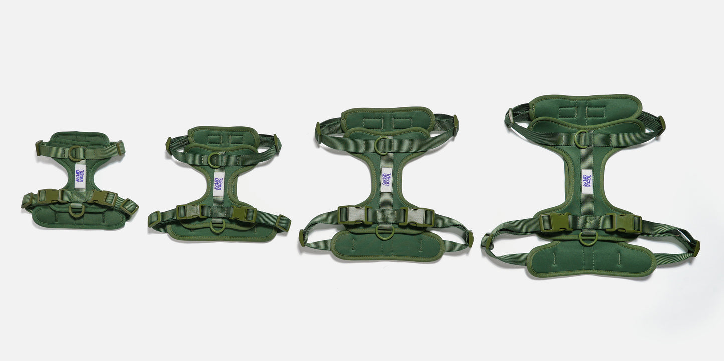 The Wander Vest: The Jewel Edit | Premium No-Pull Dog Harness – Oh! Olive