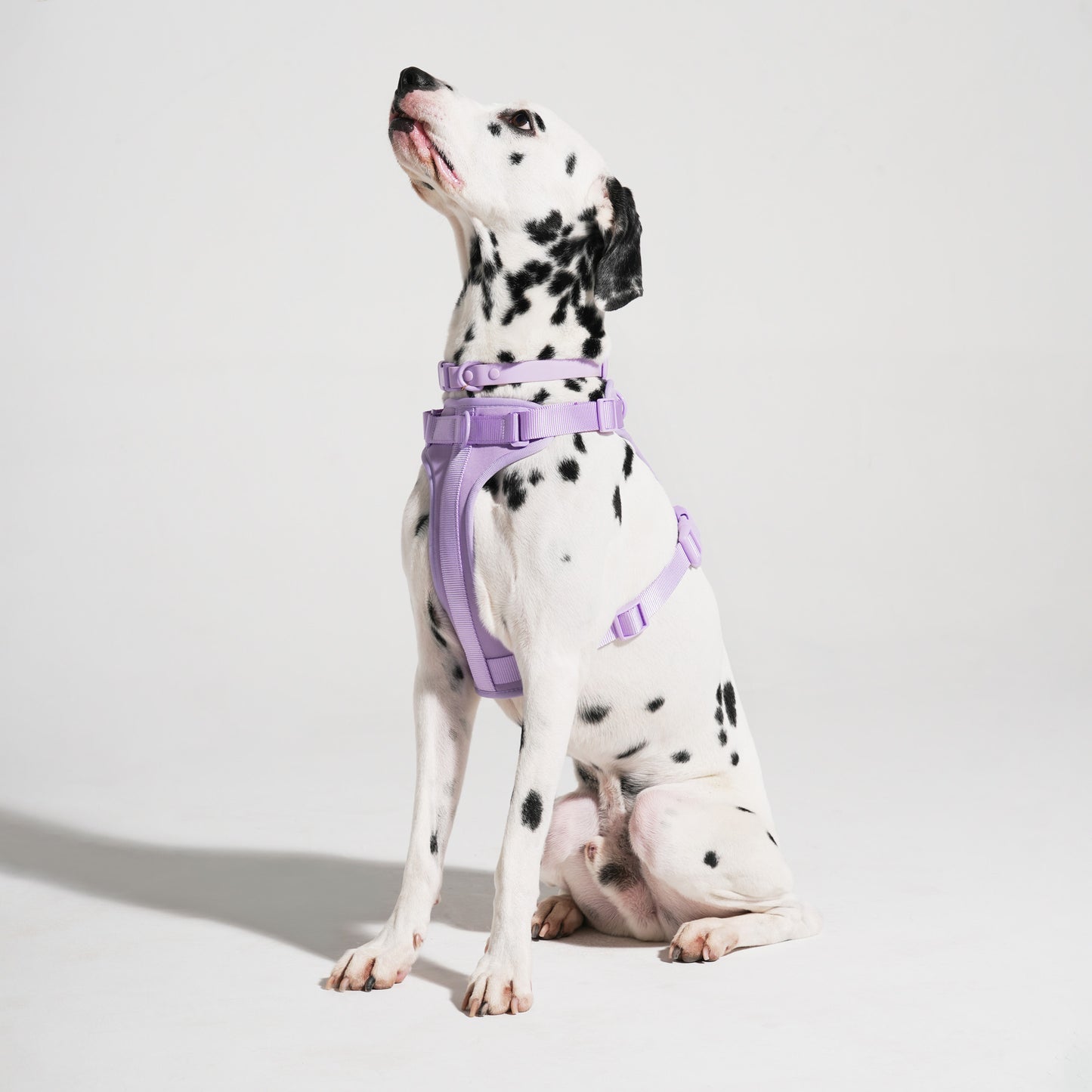 The Wander Vest - Purple Plush