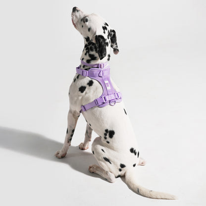 The Wander Vest - Purple Plush