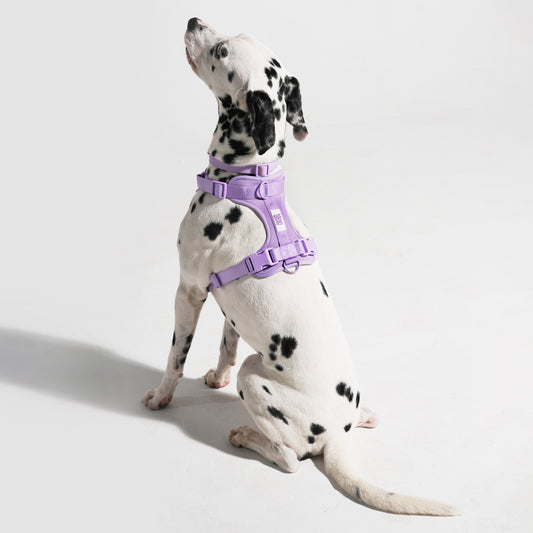 The Wander Vest - Purple Plush