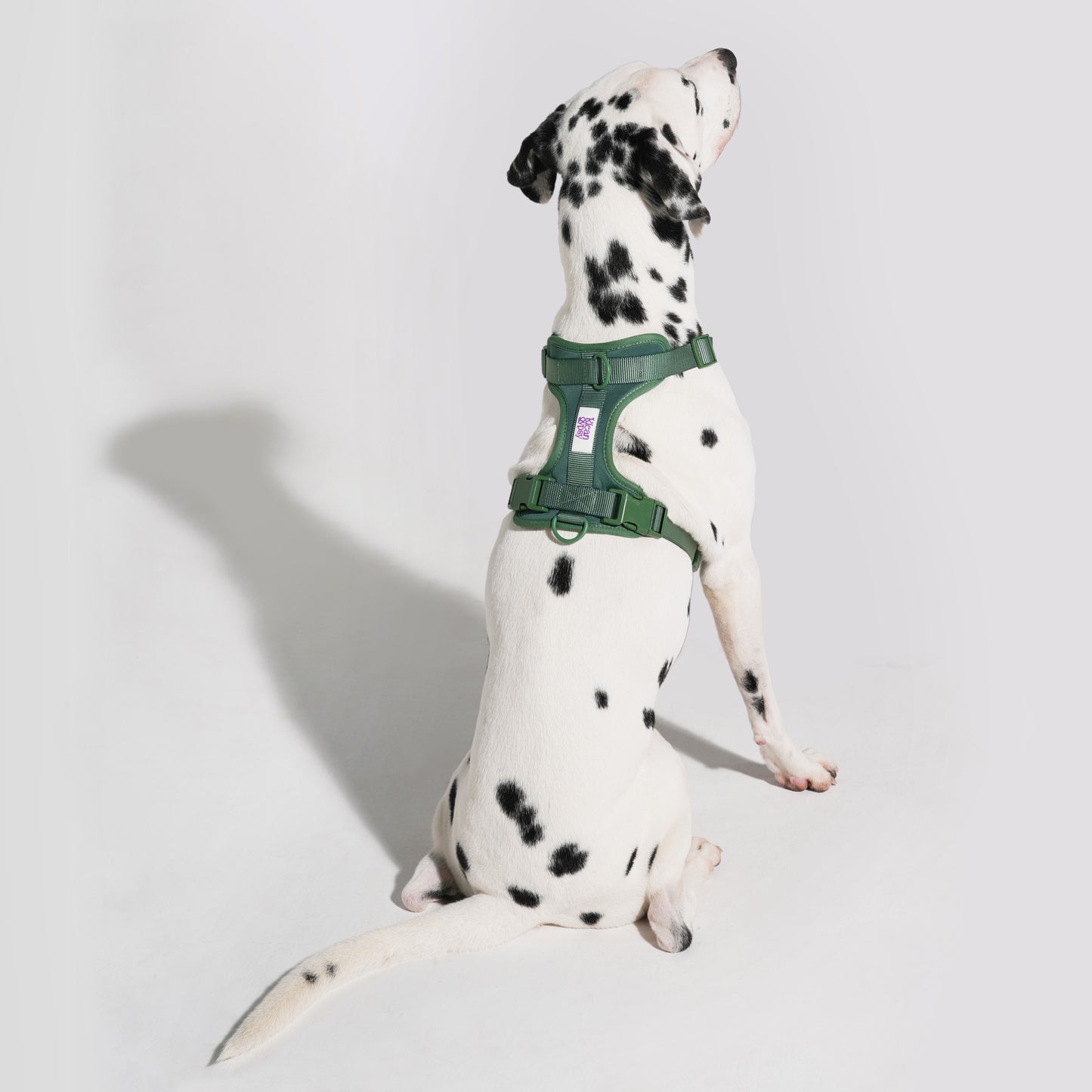 The Wander Vest: The Jewel Edit | Premium No-Pull Dog Harness – Oh! Olive