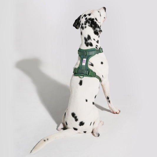 The Wander Vest: The Jewel Edit | Premium No-Pull Dog Harness – Oh! Olive