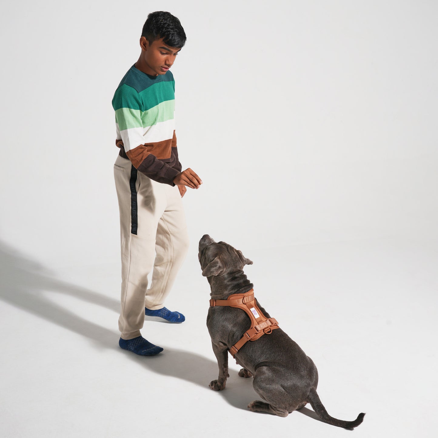 The Wander Vest: The Jewel Edit | Premium No-Pull Dog Harness – Bruno Baby!