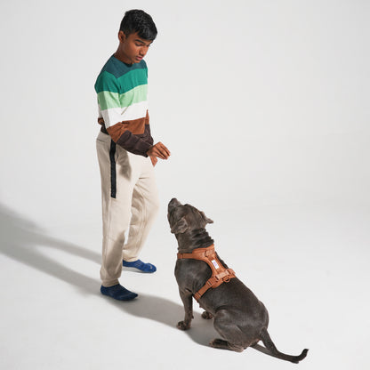 The Wander Vest: The Jewel Edit | Premium No-Pull Dog Harness – Bruno Baby!