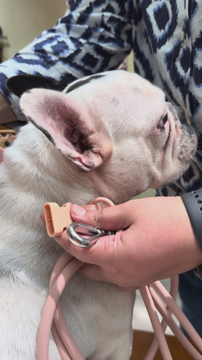 Klean Gypsy Adjustable Dog Collar - Peach Perfect