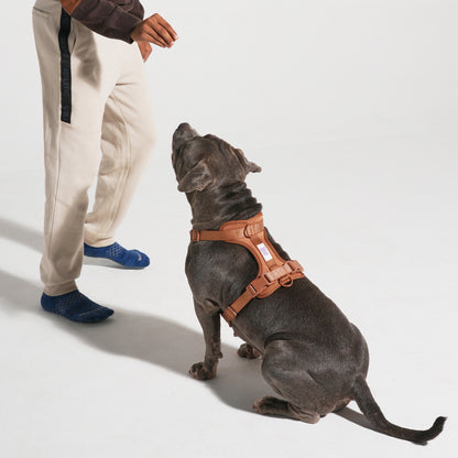 The Wander Vest: The Jewel Edit | Premium No-Pull Dog Harness – Bruno Baby!