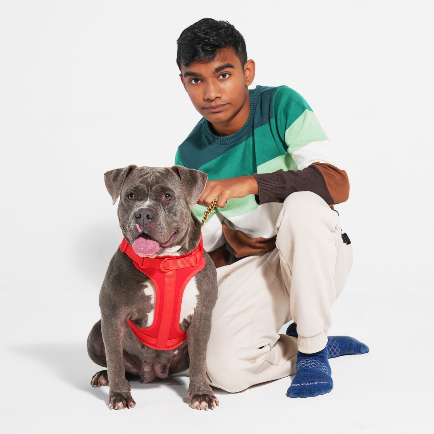 The Wander Vest: The Jewel Edit | Premium No-Pull Dog Harness – Rebel Ruby