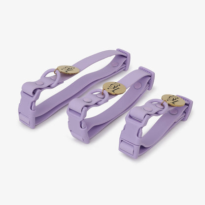 Klean Gypsy Adjustable Dog Collar - Purple Plush