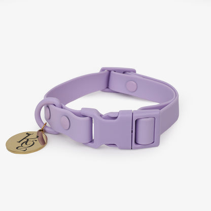 Klean Gypsy Adjustable Dog Collar - Purple Plush