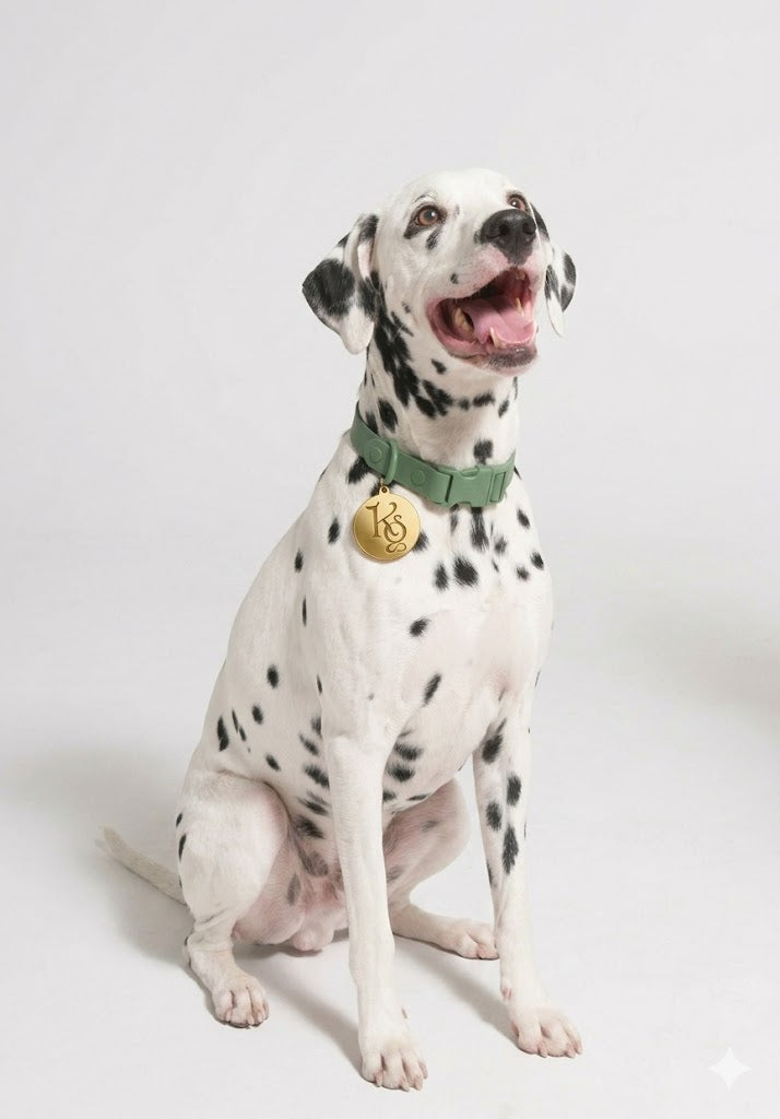 Klean Gypsy Adjustable Dog Collar - Oh! Olive