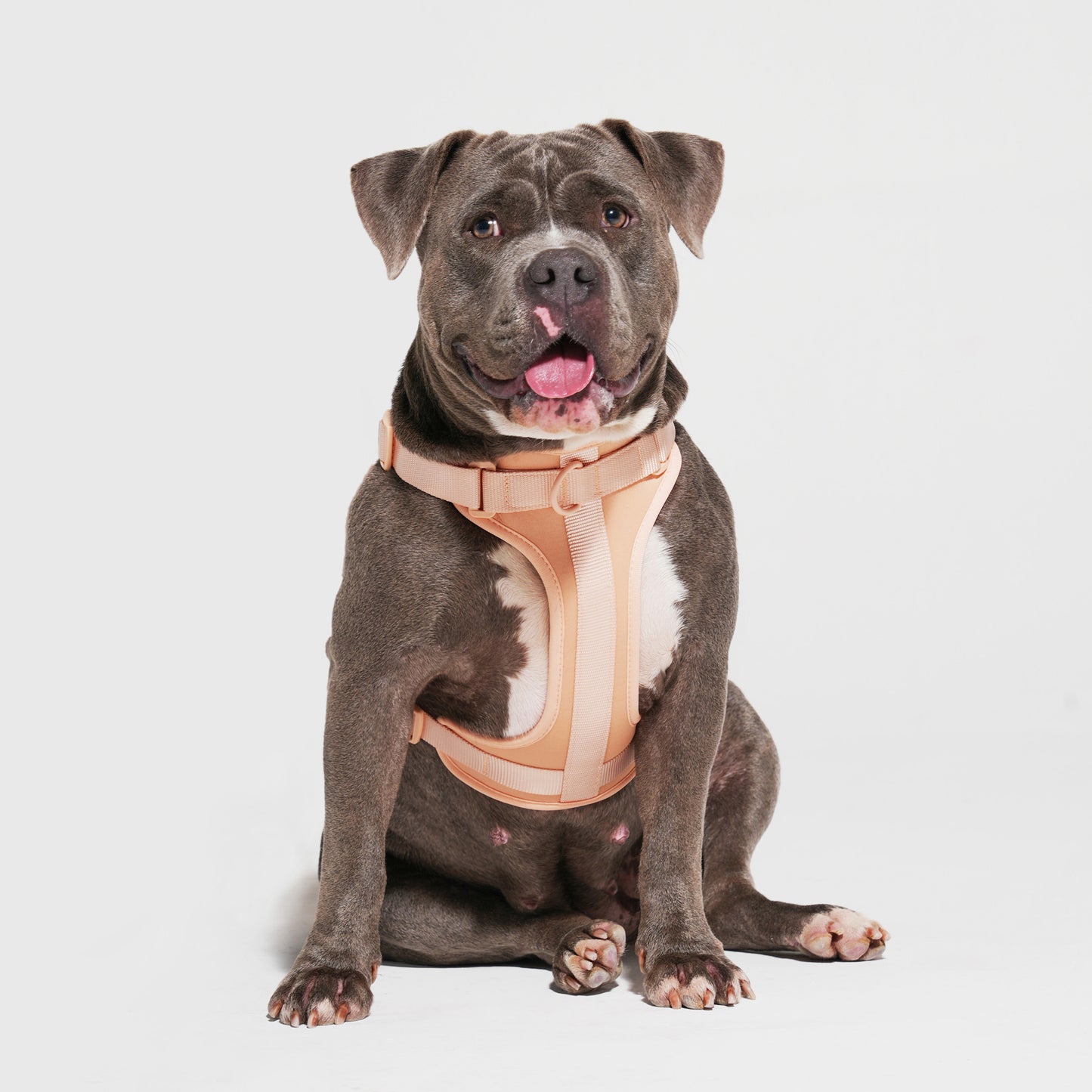 The Wander Vest - Peach Perfect