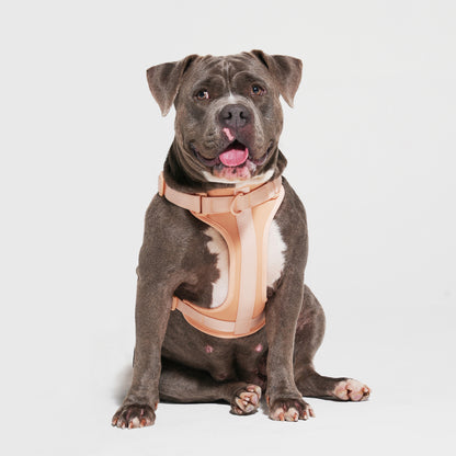 The Wander Vest - Peach Perfect