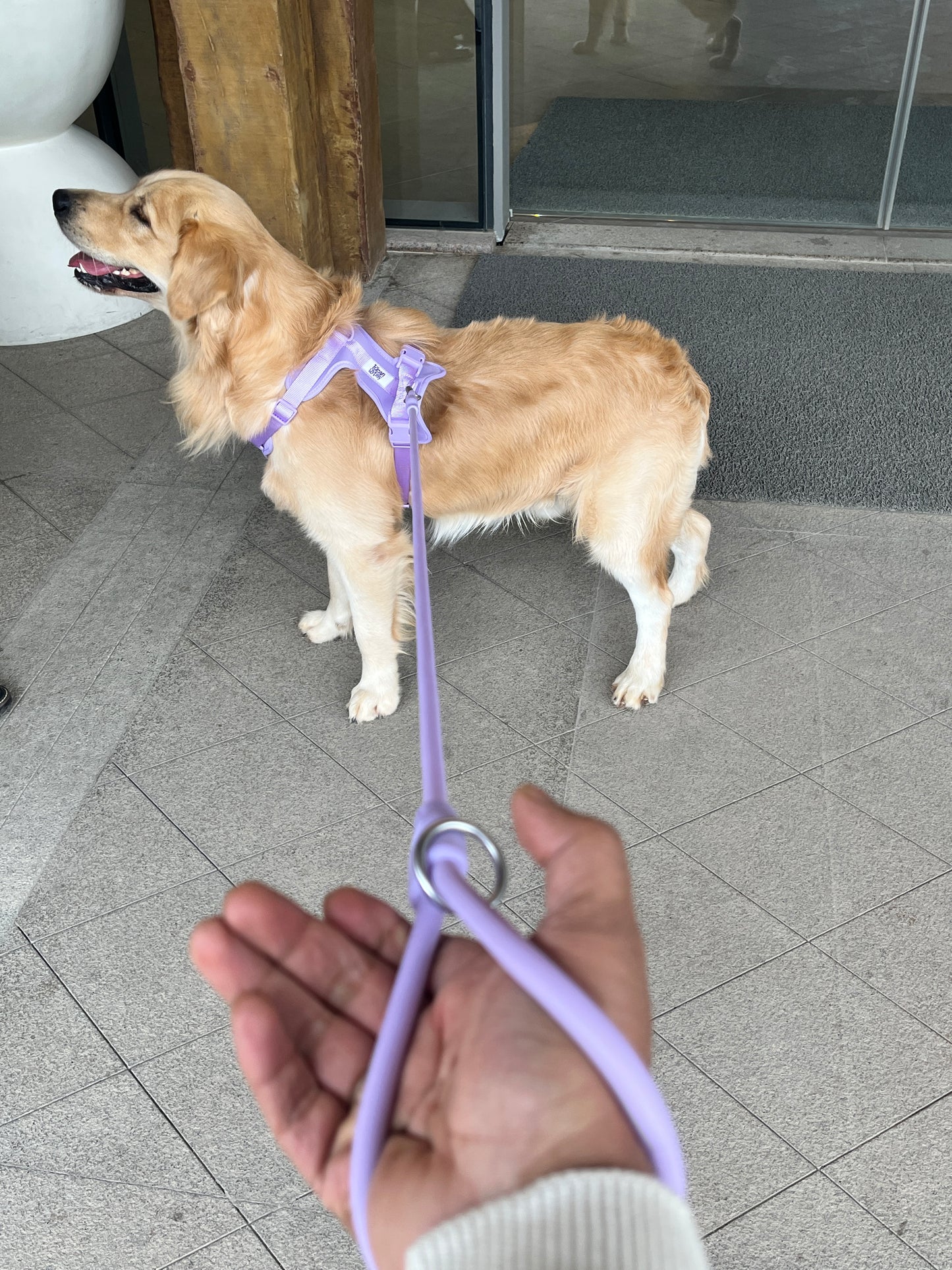Klean Gypsy HandEase Leash - Purple Plush