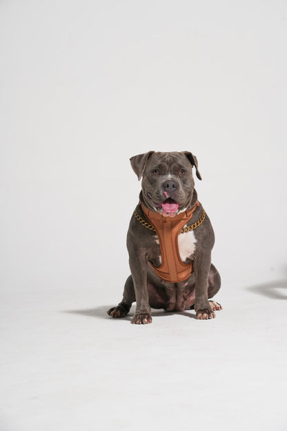 The Wander Vest: The Jewel Edit | Premium No-Pull Dog Harness – Bruno Baby!
