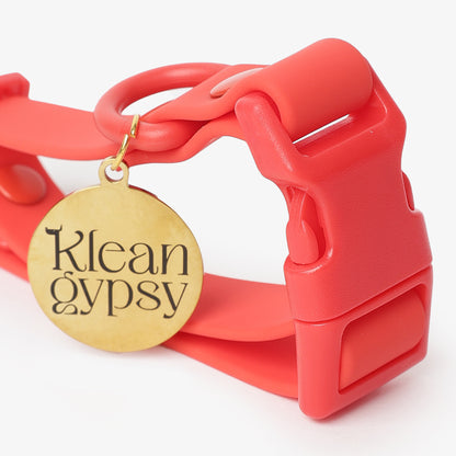Red dog collar with a gold tag labeled 'Klean Gypsy' on a white background