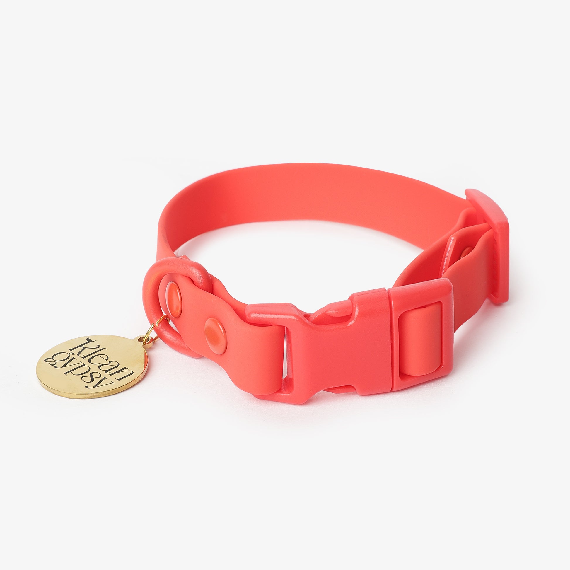 Red Dog Collar waterproof, stainproof, sturdy, long lasting name Rebel Ruby