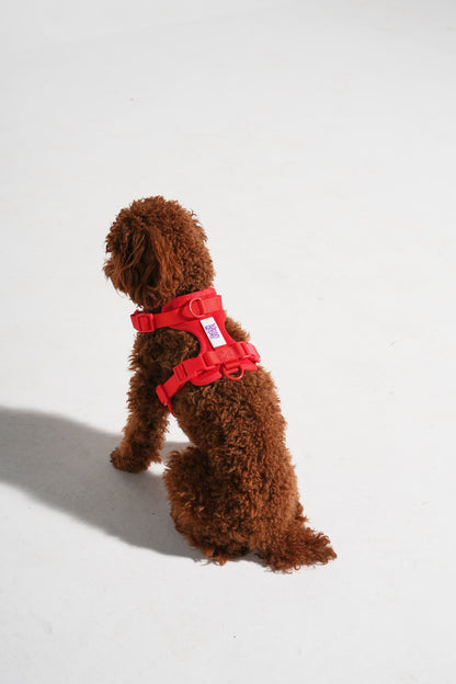 The Wander Vest: The Jewel Edit | Premium No-Pull Dog Harness – Rebel Ruby